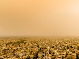 afrikaniki skoni eurok 1 1200x630.jpg