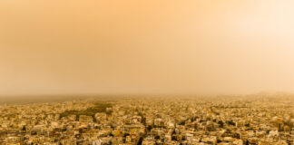 afrikaniki skoni eurok 1 1200x630.jpg