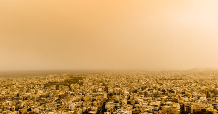 afrikaniki skoni eurok 1 1200x630.jpg