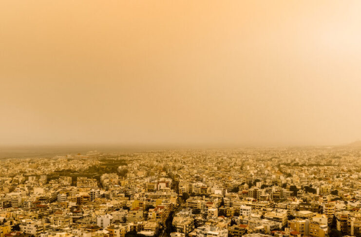 afrikaniki skoni eurok 1 1200x630.jpg