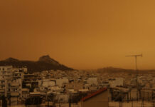 afrikaniki skoni eurok 2 1200x630.jpg