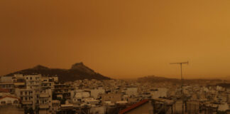 afrikaniki skoni eurok 2 1200x630.jpg