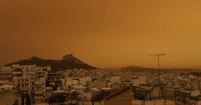 afrikaniki skoni eurok 2 1200x630.jpg