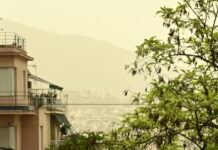 afrikaniki skoni eurok 3 1200x630.jpg