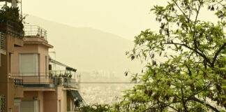 afrikaniki skoni eurok 3 1200x630.jpg