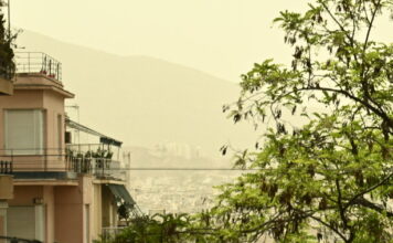 afrikaniki skoni eurok 3 1200x630.jpg