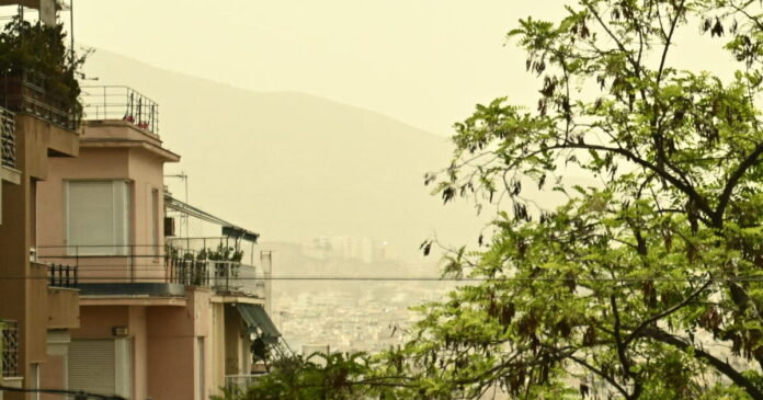 afrikaniki skoni eurok 3 1200x630.jpg