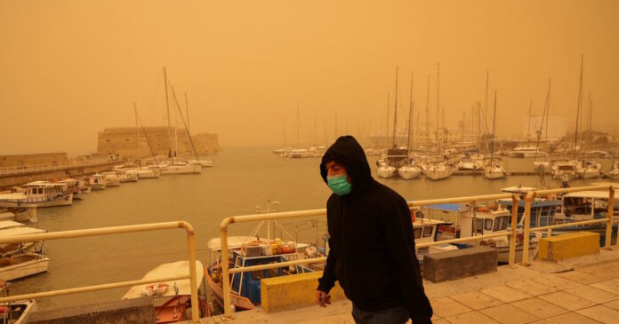 afrikaniki skoni kriti 11 1200x630.jpg