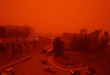 afrikaniki skoni kriti 3 1200x630.jpg