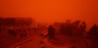 afrikaniki skoni kriti 3 1200x630.jpg