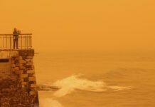 afrikaniki skoni kriti 7 1200x630.jpg