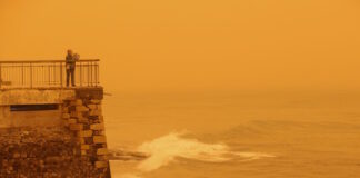 afrikaniki skoni kriti 7 1200x630.jpg