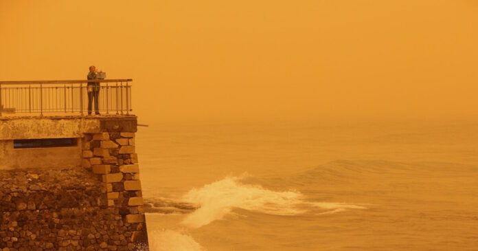 afrikaniki skoni kriti 7 1200x630.jpg