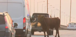 agelada sindos 1200x630.jpg