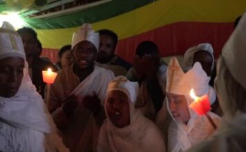 aithiopes anastasi 1 1200x630.jpg