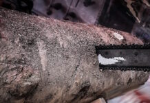 alisopriono 29042026 1200x630.jpg