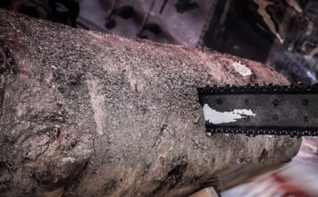 alisopriono 29042026 1200x630.jpg