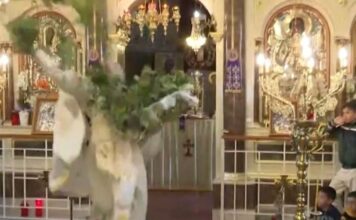 anastasi chios 1200x630.jpg