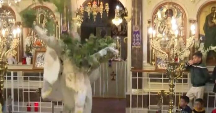 anastasi chios 1200x630.jpg anastasi chios 1200x630.jpg