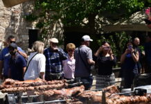 arnia eurok 1 1200x630.jpg