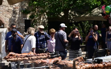 arnia eurok 1 1200x630.jpg