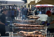 arnia eurok 1200x630.jpg