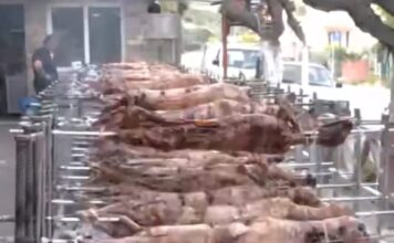 arnia peiraias 1200x630.jpg