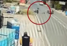 artemida 1200x630.jpg