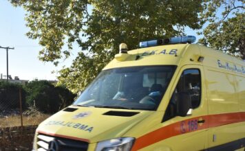 asthenoforo 1 1 1200x630.jpg