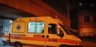 asthenoforo 1 2 1200x630.jpg