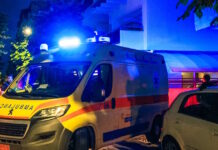 asthenoforo2 1200x630.jpg