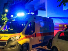 asthenoforo2 1200x630.jpg