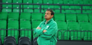 ataman 2 4 1200x630.jpg