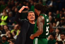 ataman 4 1200x630.jpg