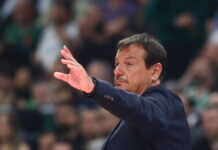 ataman 5 1200x630.jpg