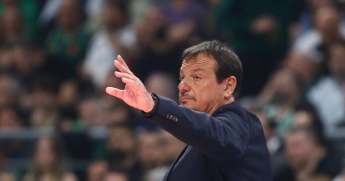 ataman 5 1200x630.jpg