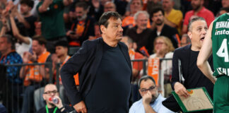 ataman 8 1200x630.jpg