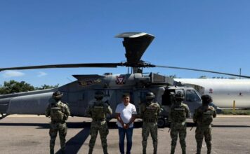 audias flores 1200x630.jpg