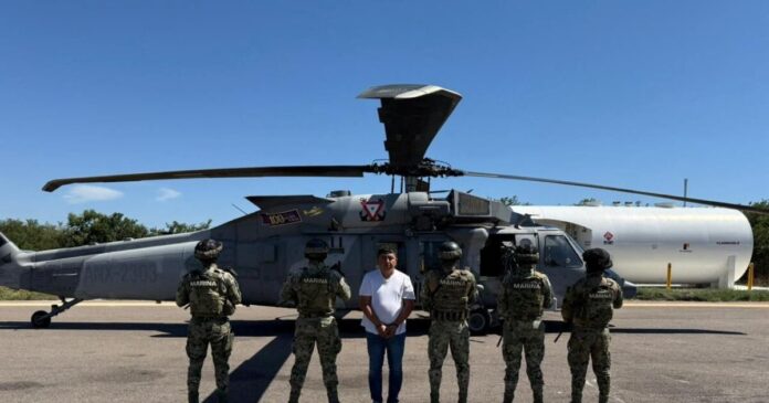 audias flores 1200x630.jpg