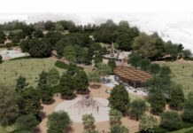 botanikos elaionas apalotriosi dimos athinas 1200x630.jpeg