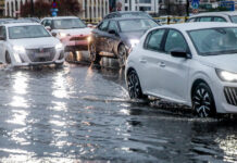 botiliarisma 1200x630.jpg