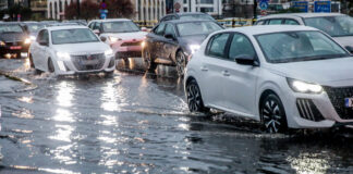 botiliarisma 1200x630.jpg