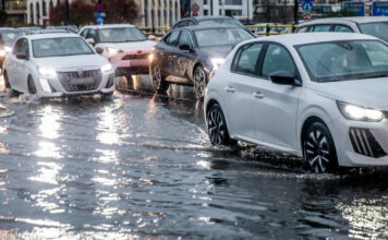 botiliarisma 1200x630.jpg