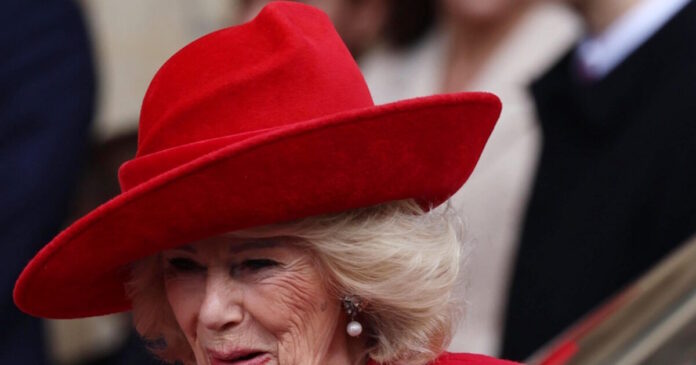 camilla apempe 1200x630.jpg