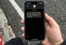 ceded108 kameres kok 2 og.jpg