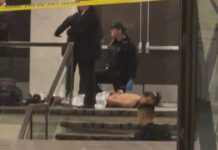 cole allen purovolismoi r 1200x630.jpg