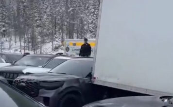 colorado 1200x630.jpg