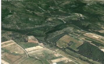 dasikoi xartes 1.jpg