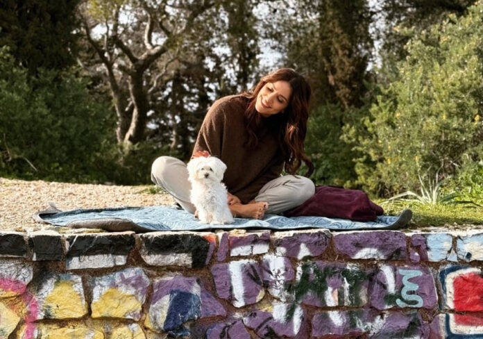 ddf6771ed0be98dd8b88d7d69e21f4d8 L.jpg