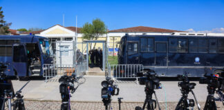 diki tempi 2 1200x630.jpg